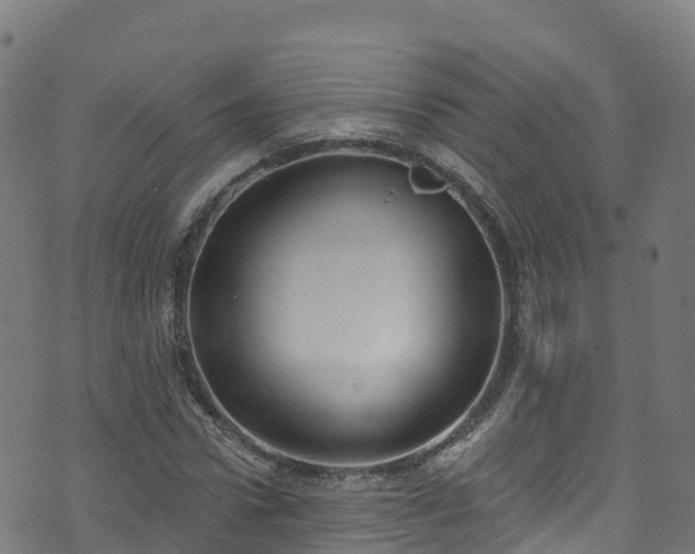 X0000070880922200606231339