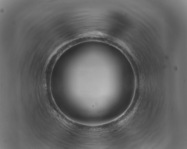 X0000070880923200606231339