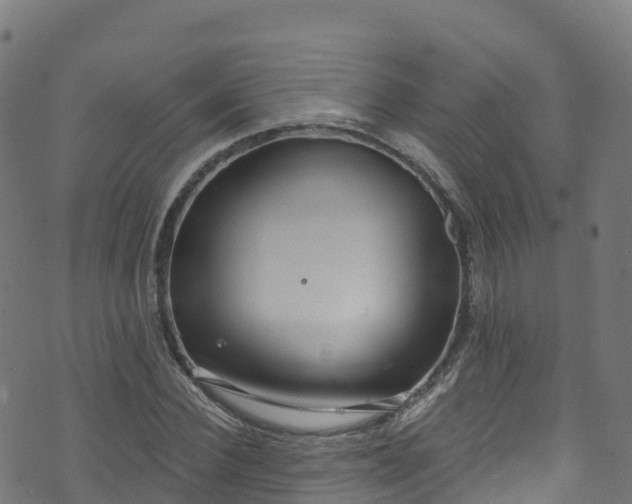 X0000070880924200606231339