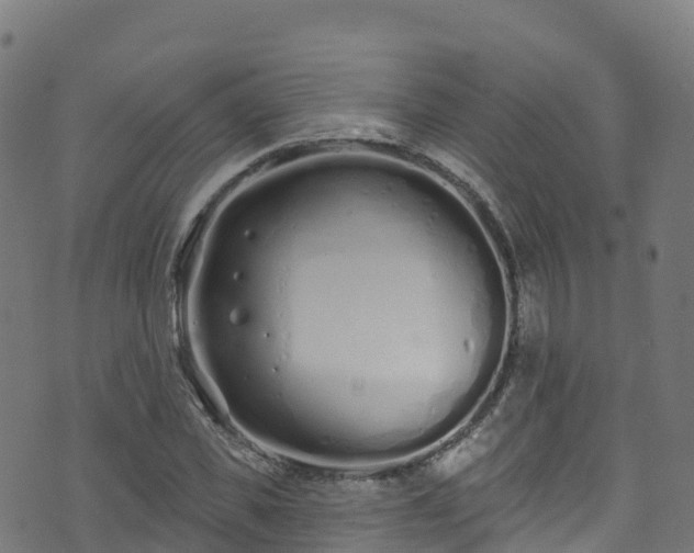 X0000070880925200606231339