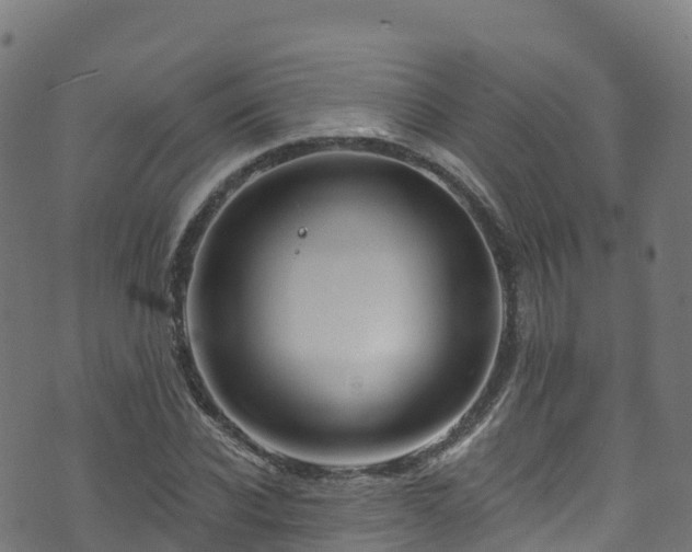 X0000070880926200606231339