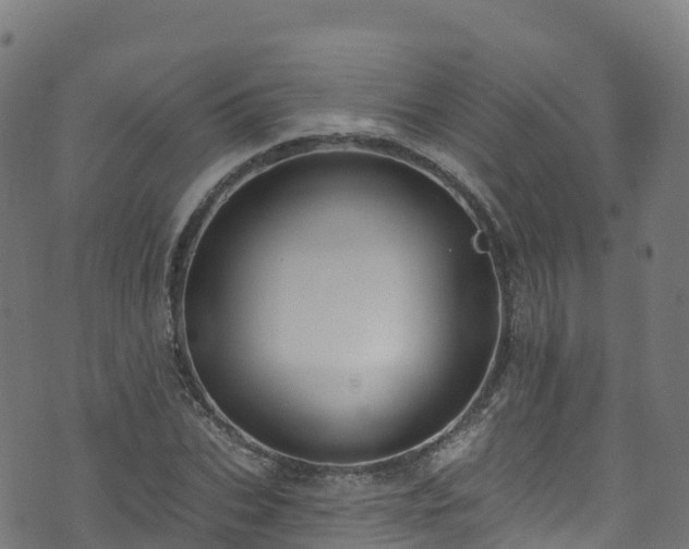 X0000070880927200606231339