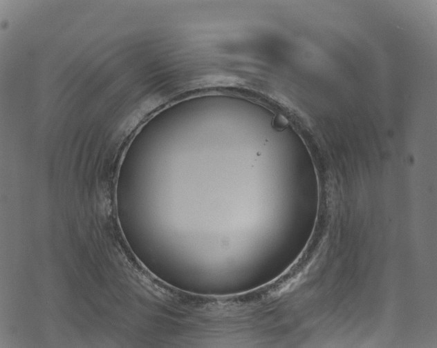 X0000070880929200606231339