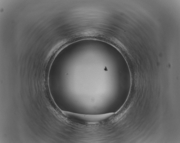 X0000070880930200606231339