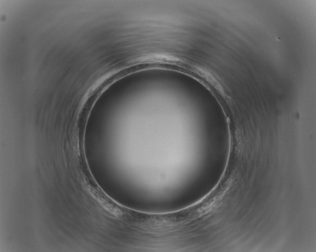 X0000070880931200606231339