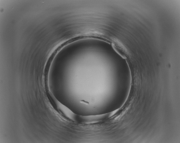 X0000070880932200606231339