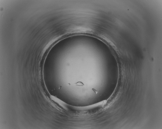 X0000070880933200606231339