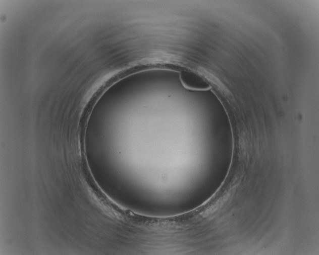 X0000070880934200606231339