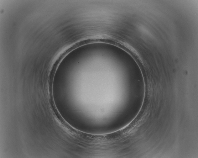 X0000070880935200606231339