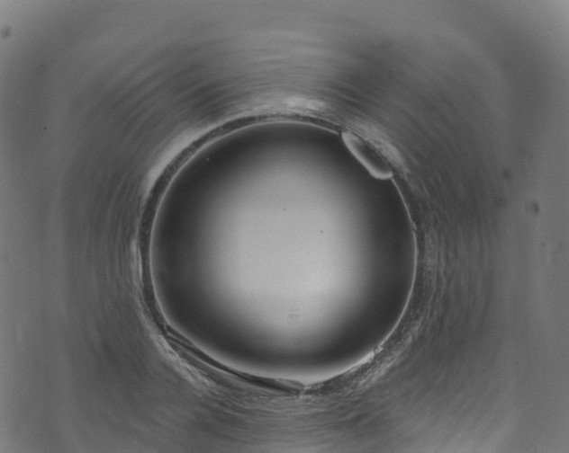 X0000070880936200606231339