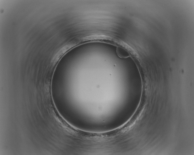 X0000070880937200606231339