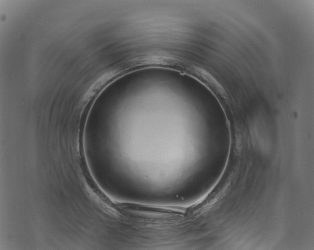 X0000070880938200606231339