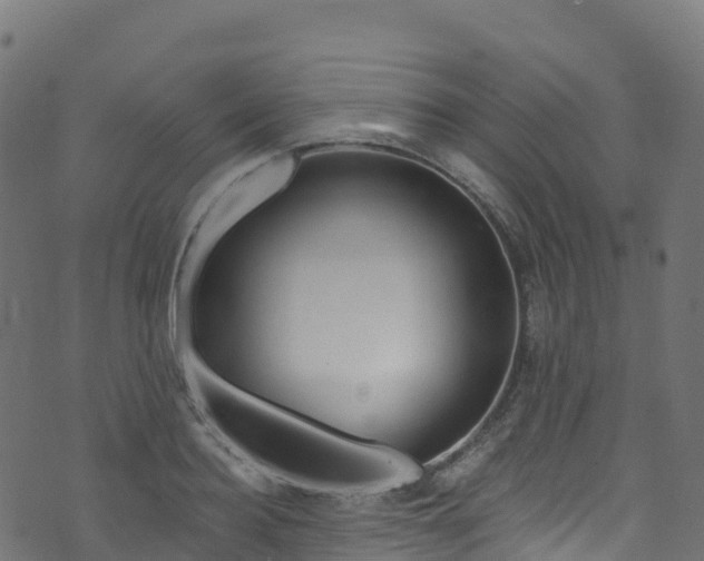 X0000070880940200606231339