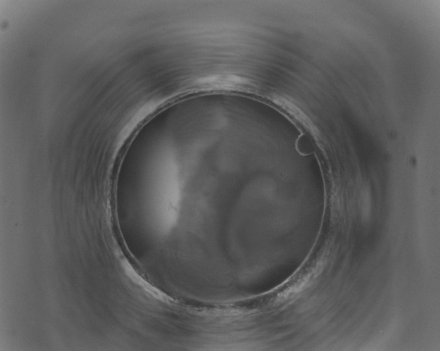 X0000070880941200606231339