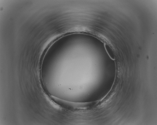 X0000070880942200606231339