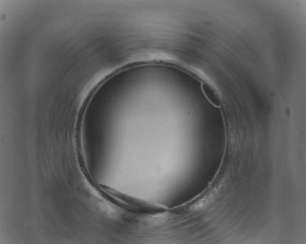 X0000070880943200606231339