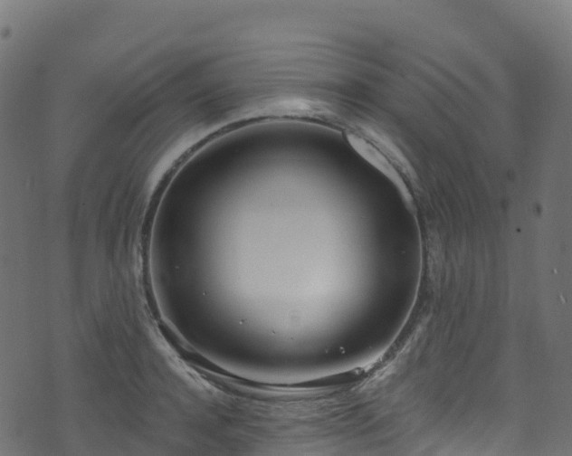 X0000070880944200606231339