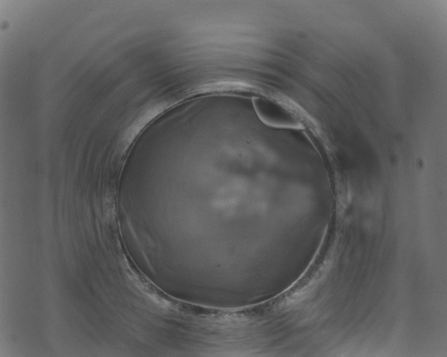 X0000070880945200606231339