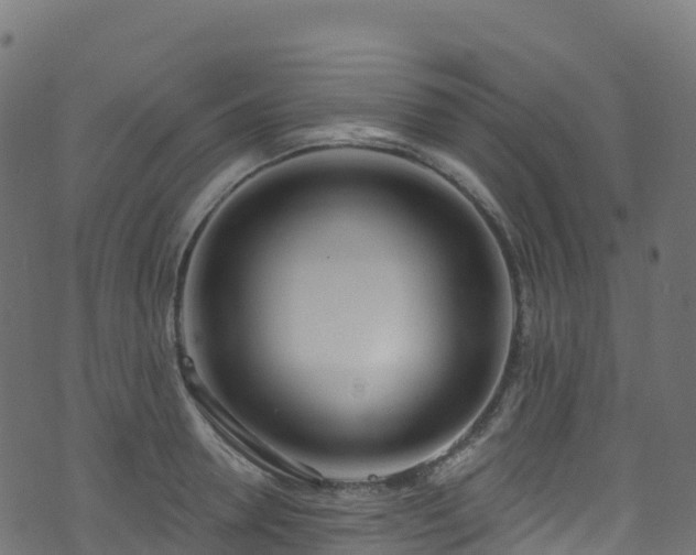 X0000070880946200606231339