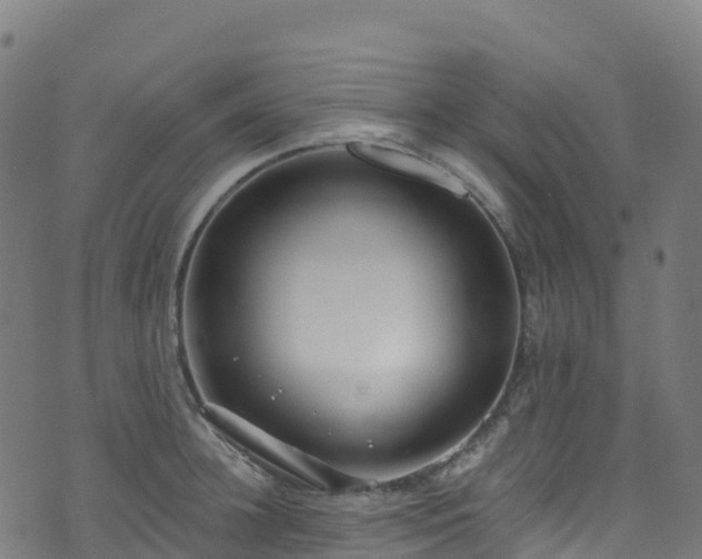 X0000070880948200606231339