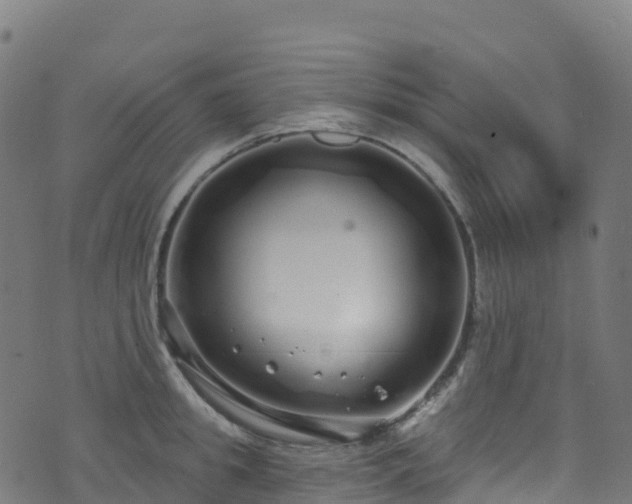 X0000070880949200606231339