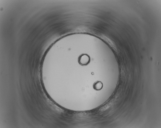 X0000070880950200606231339