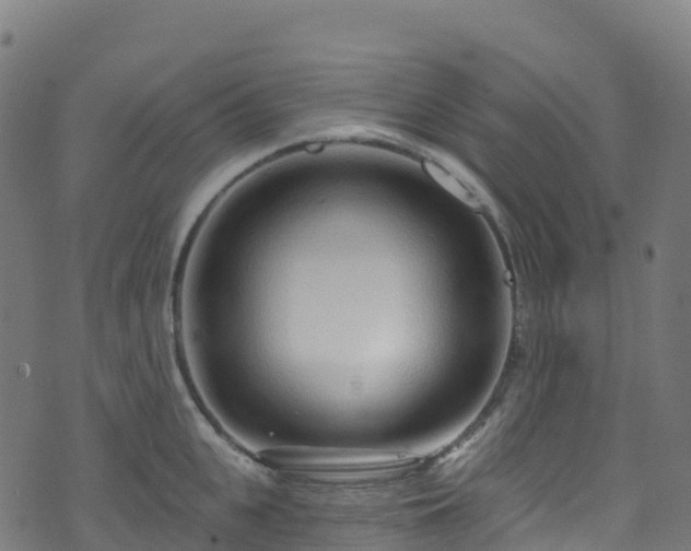 X0000070880951200606231339