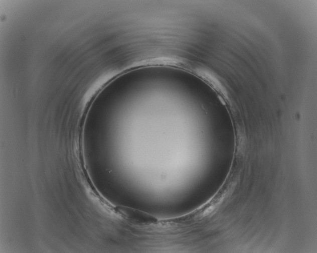 X0000070880952200606231339