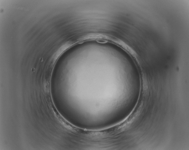 X0000070880953200606231339