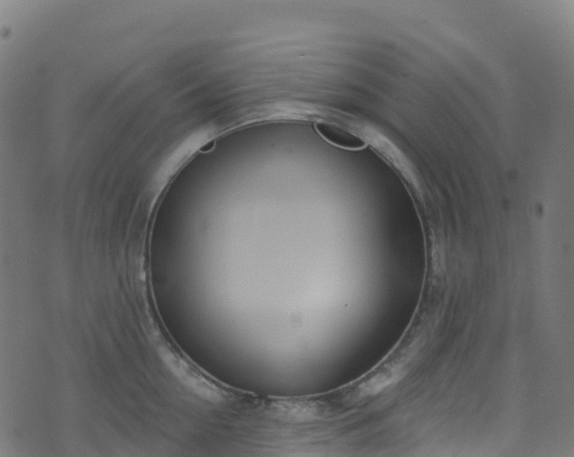 X0000070880954200606231339