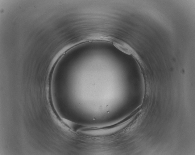 X0000070880955200606231339