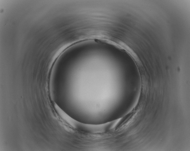 X0000070880956200606231339