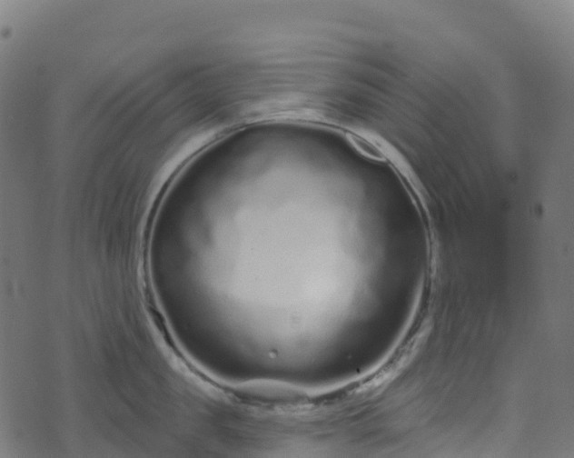 X0000070880957200606231339