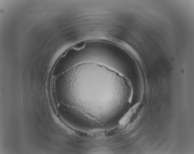 X0000070880958200606231339