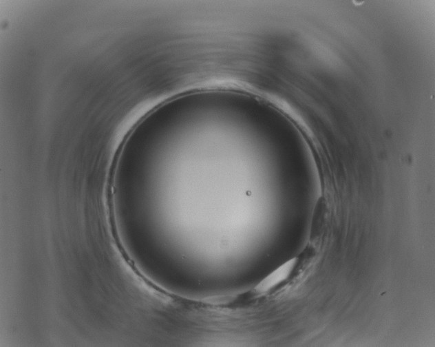 X0000070880959200606231339