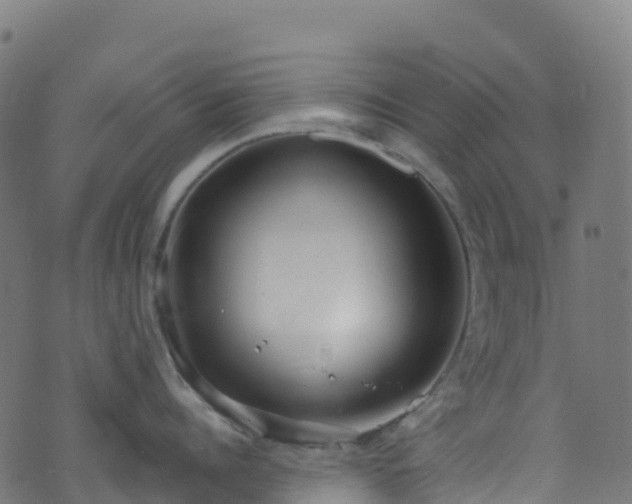 X0000070880960200606231339