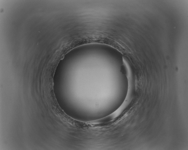 X0000070880961200606231339