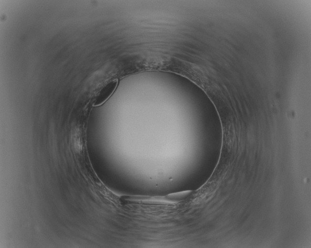 X0000070880962200606231339