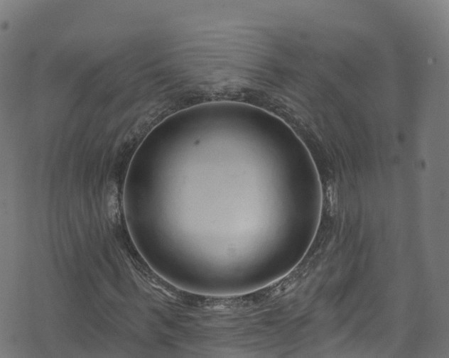 X0000070880963200606231339