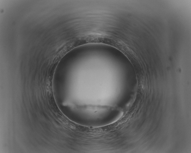 X0000070880964200606231339