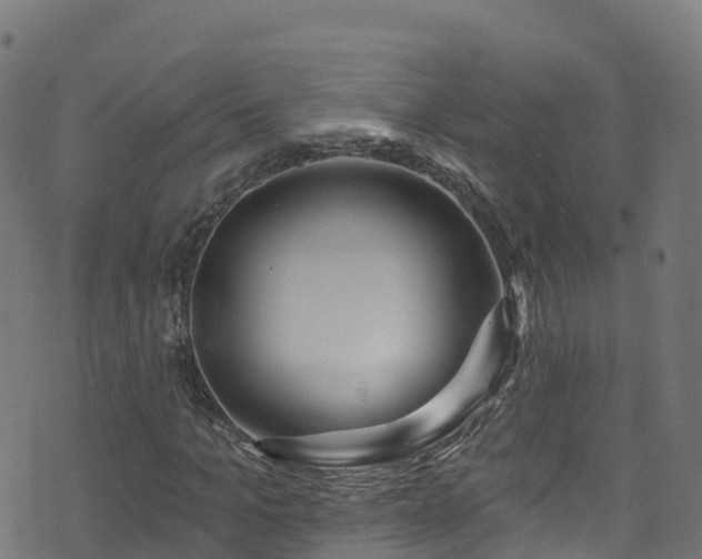 X0000070880965200606231339