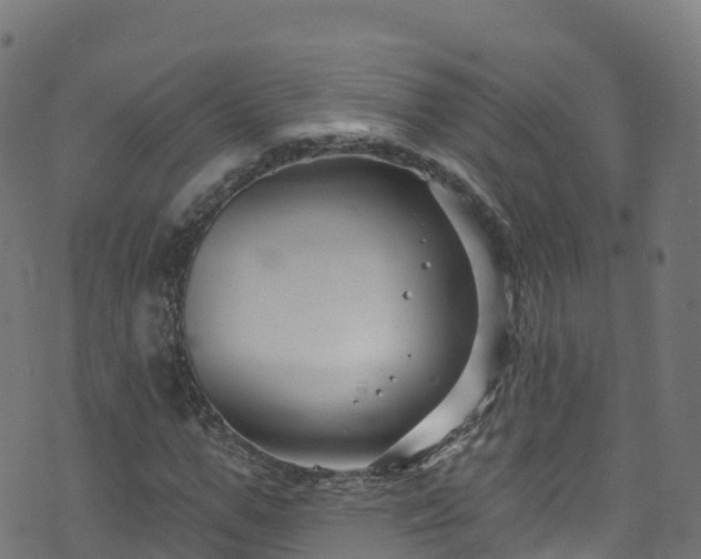 X0000070880967200606231339