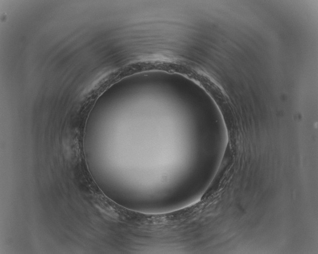 X0000070880968200606231339