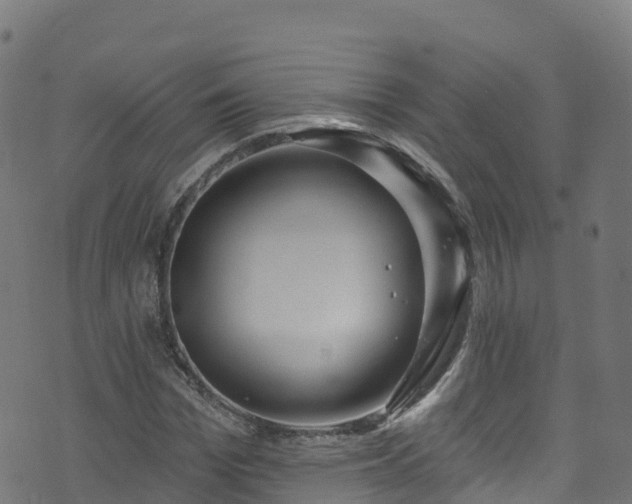 X0000070880969200606231339