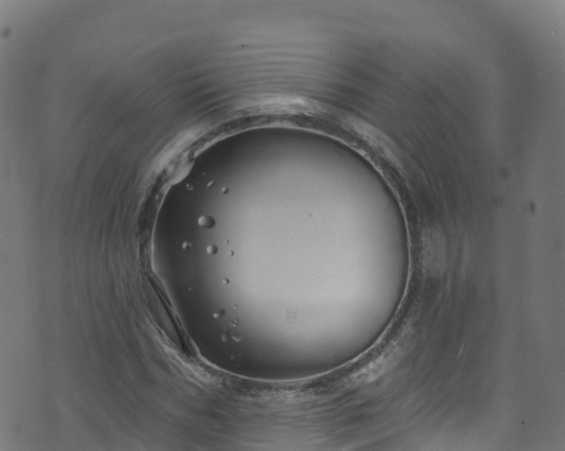 X0000070880970200606231339