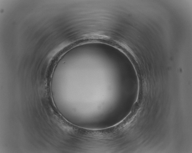 X0000070880971200606231339