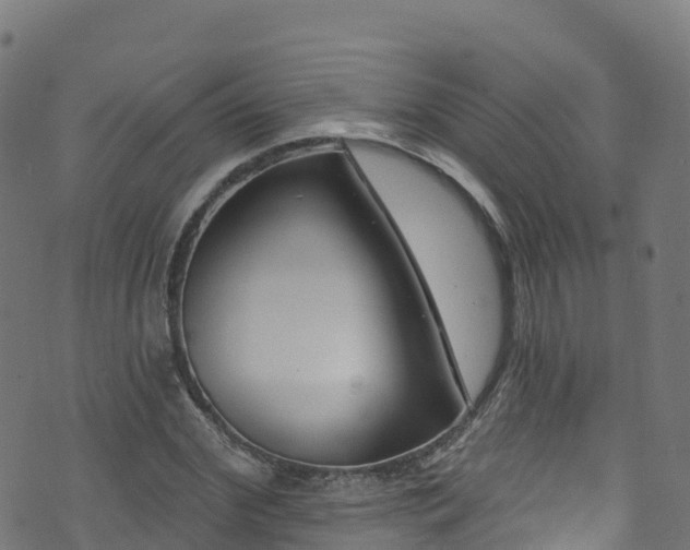 X0000070880972200606231338