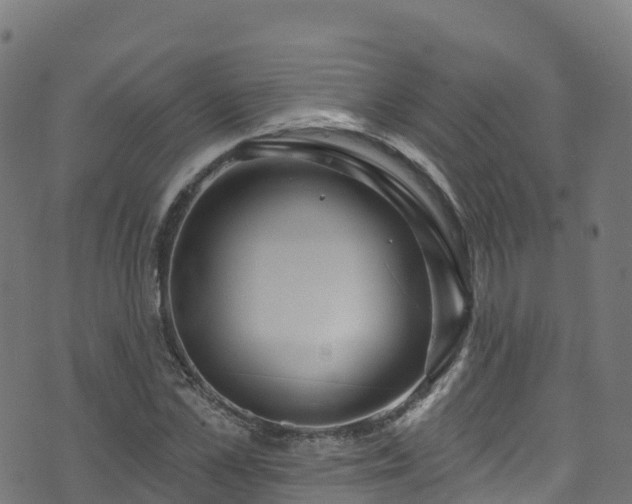 X0000070880973200606231338