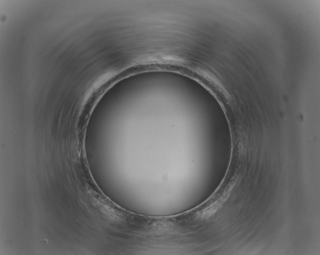 X0000070880974200606231338