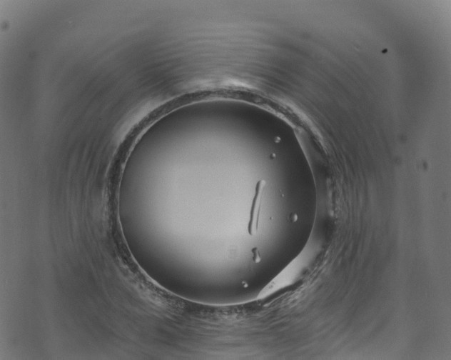 X0000070880975200606231338